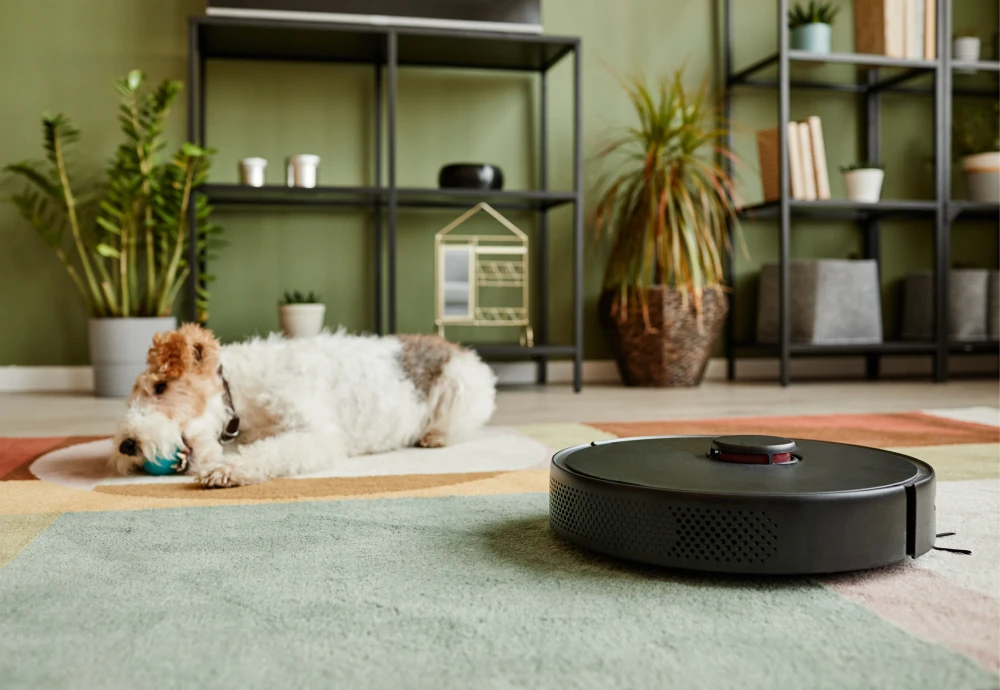 robot vacuum cleaner carpet