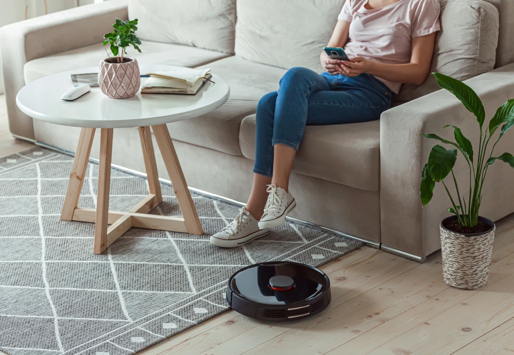 robot vacuum cleaner carpet